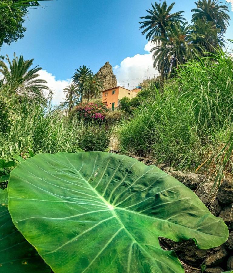 Casa Buganvilla Hermigua Zewnętrze zdjęcie